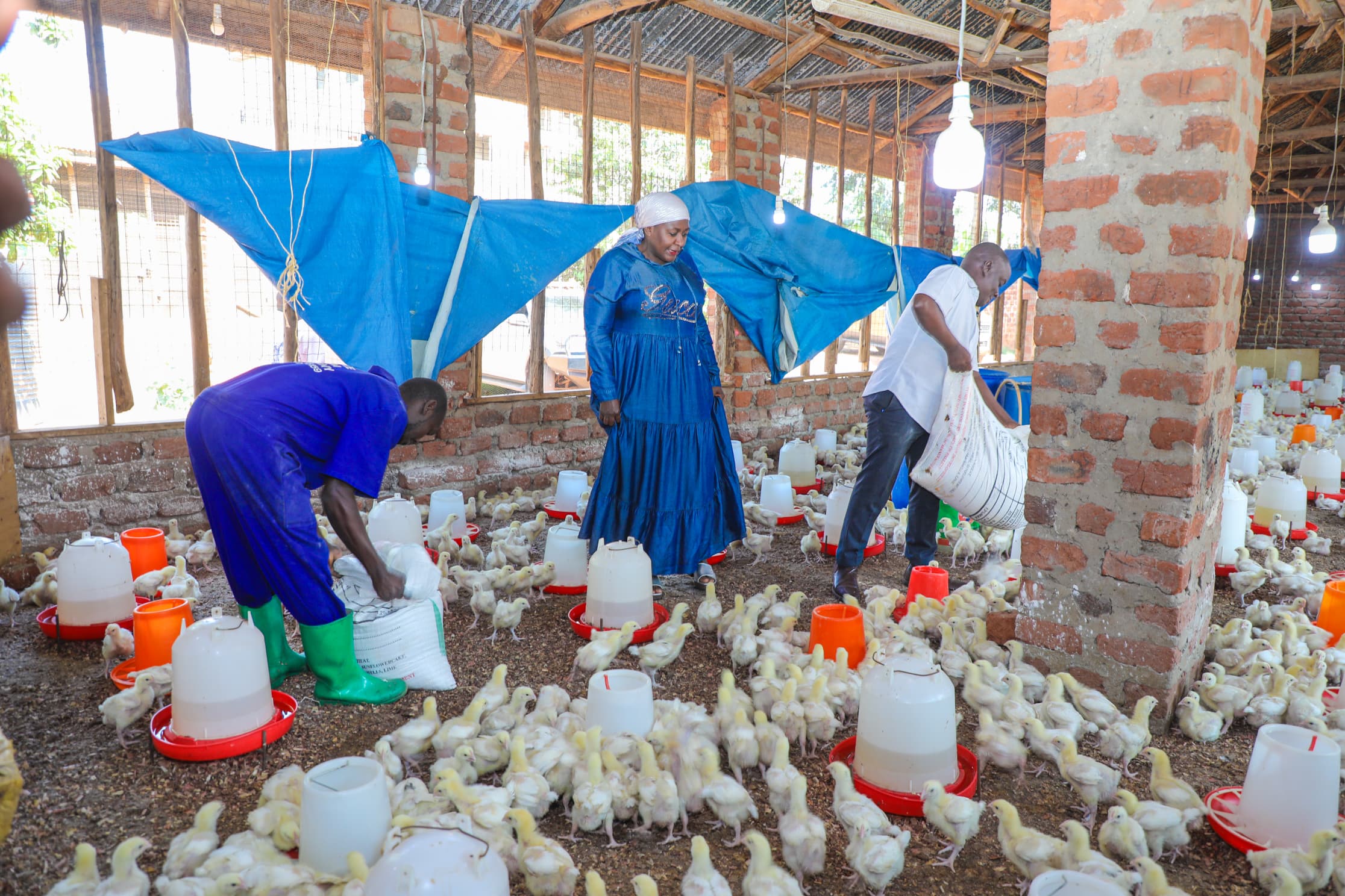 Kira Poultry Farmer Expands Flock from 200 Chicks to 7,000 After ONC Suppor