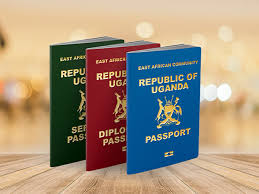 Former Ministers, MPs Risk Prosecution for Retaining Official Passports, Legal Expert Warns