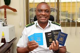 No Fixed Deadline for Returning Diplomatic Passports, But Government Can Recall Them, Expert Says