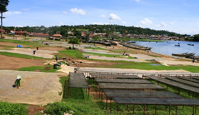 Panic Grips Katosi as NEMA Demarcates Lake Victoria Buffer Zone, Residents Fear Evictions