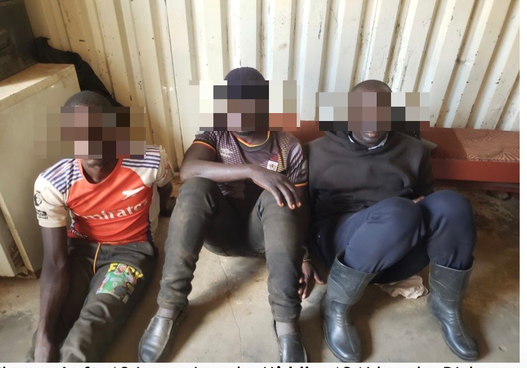 UWA Arrests Three Over Suspected Poisoning of Seven Hyenas in Mburo Park