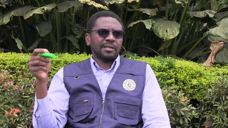 Government to Save Billions by Aligning LC Polls With General Elections