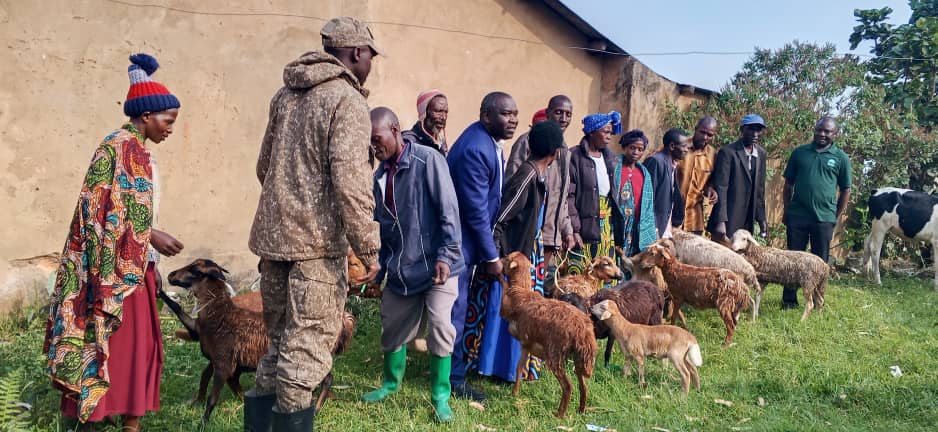Nkuringo Group Doubles Cattle Under Anti-Poaching Conservation Project