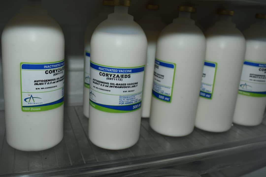 NDA Seizes Suspected Counterfeit Drugs in Kampala Operation, Three Arrested