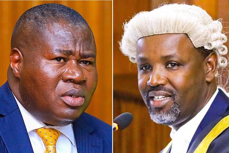 Oboth, Tayebwa Assigned Patriotic Officer Ranks in Muhoozi's PLU