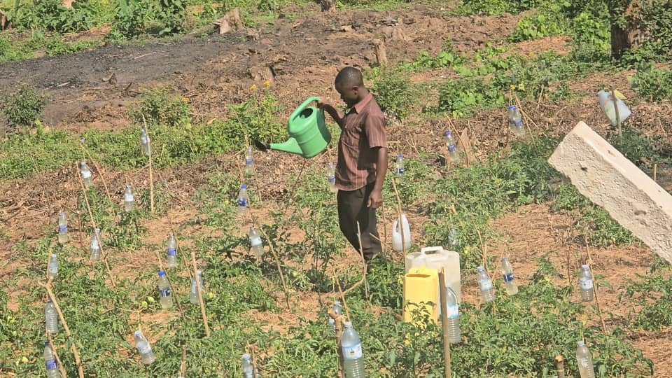 Ntungamo Farmers Brace for Harsh Dry Season as Drought Tightens Grip