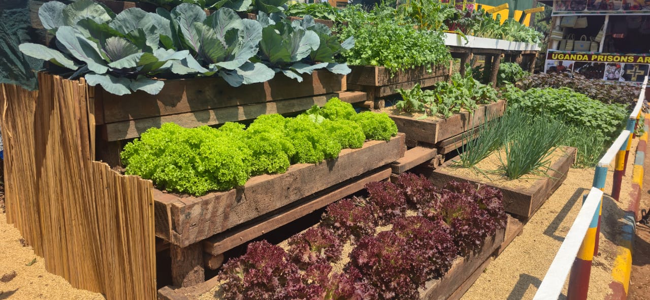 Source of the Nile Agricultural Show Opens with Call for Innovation to Transform Farming