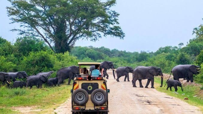 Tourism Earnings Hit Record Shs6.8 Trillion, Surpassing Pre-COVID Peak