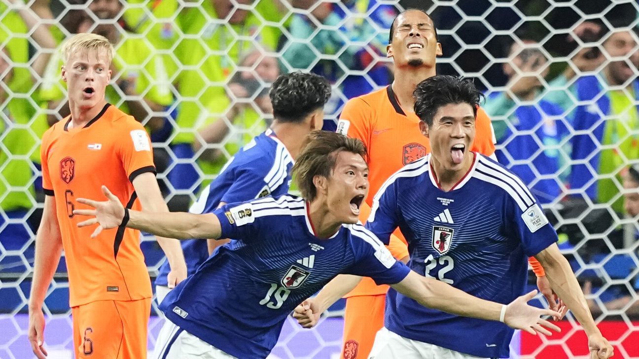 Van der Vaart apologises over Japan racial slur