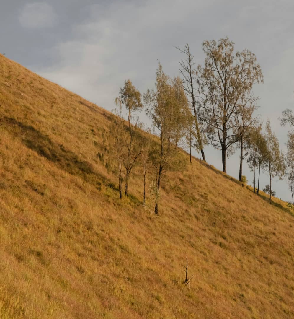 Kisoro Residents Advised to Prepare for Prolonged Dry Season