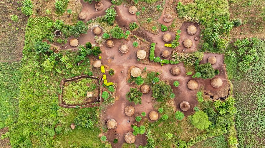 Adjumani Leads Northern Uganda Woodlots Drive After Surpassing Five-Year Forest Target