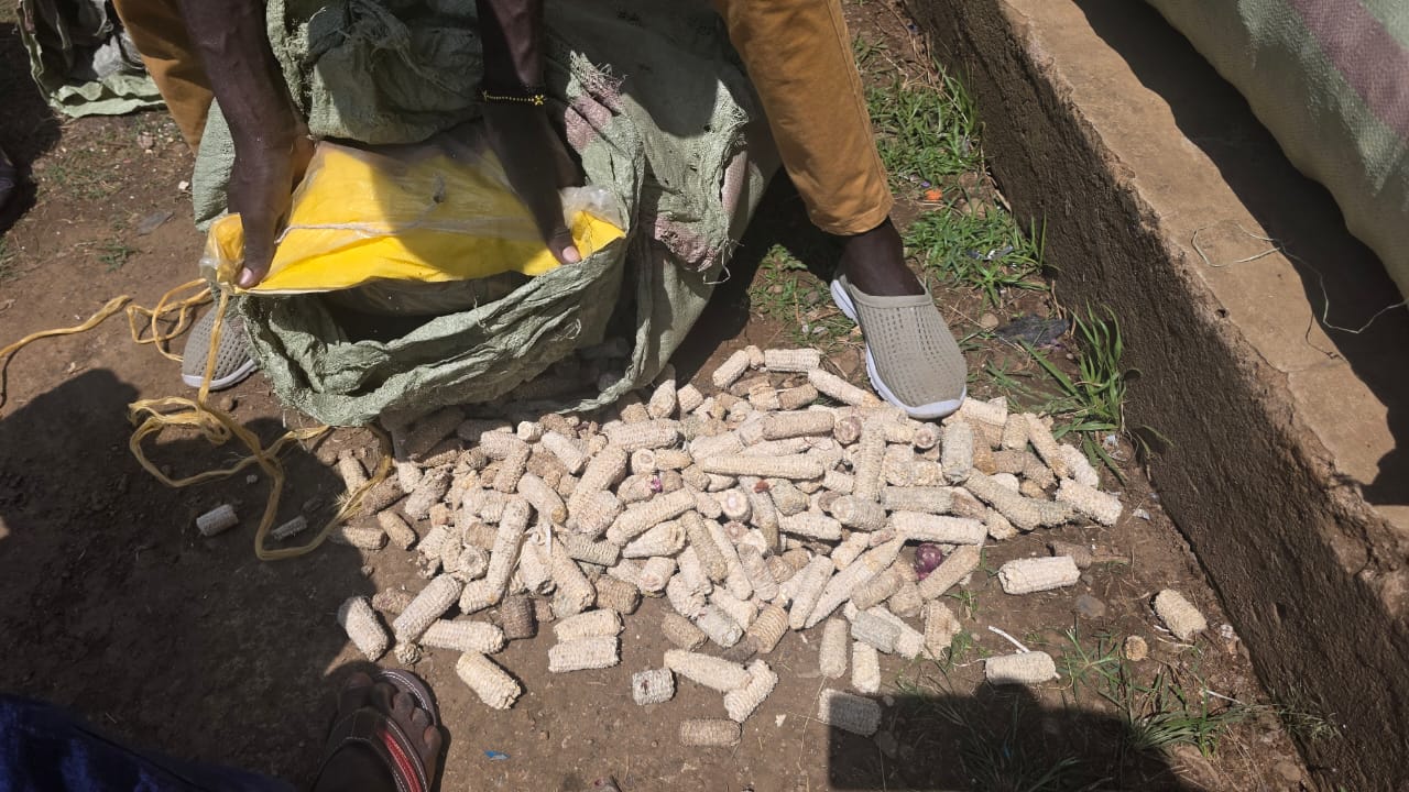 URA Seizes Shs5.7 Million Rice Hidden in Corn Cob Sacks