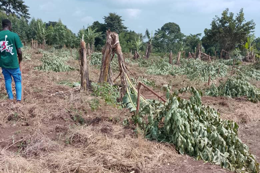 Police Warn Against Mob Justice as Land Disputes Turn Violent in Luweero
