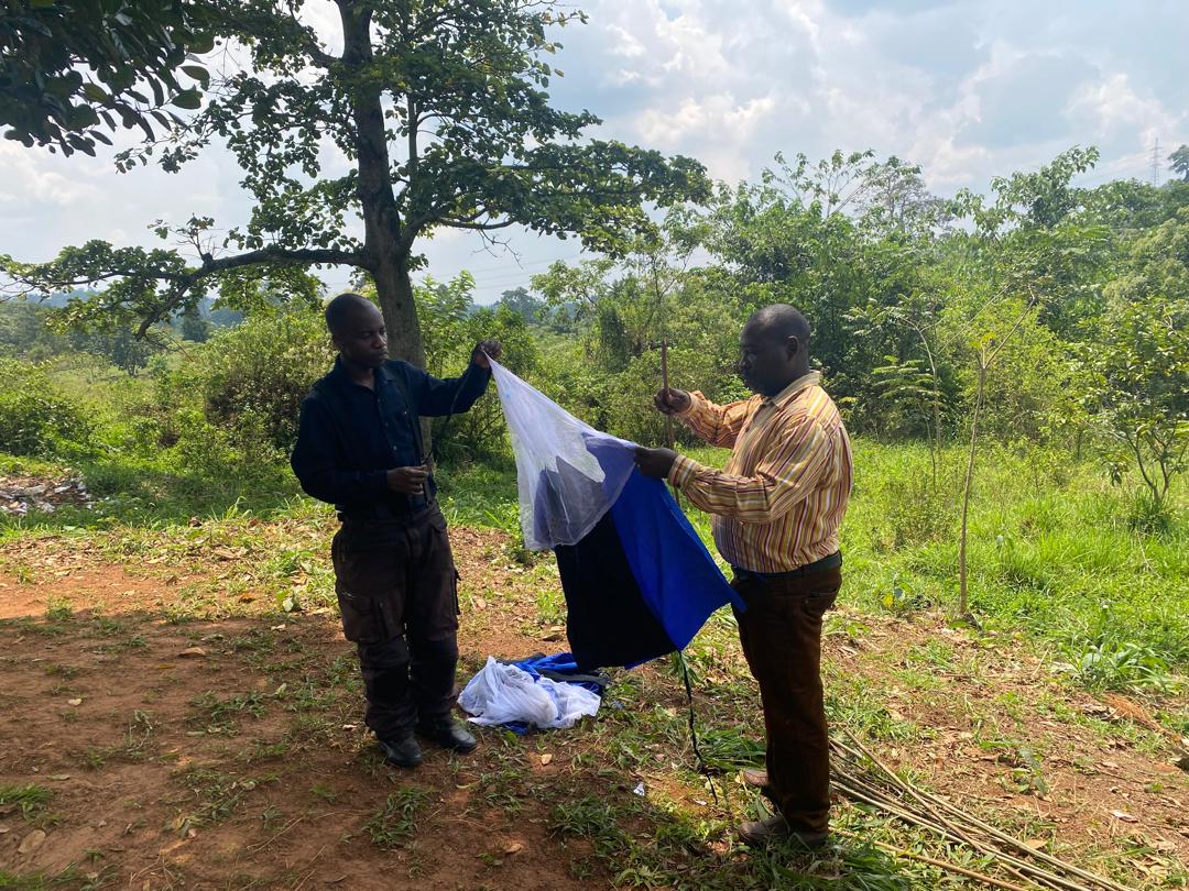 Tsetse Fly Infestation Threatens Kayunga Livestock Production