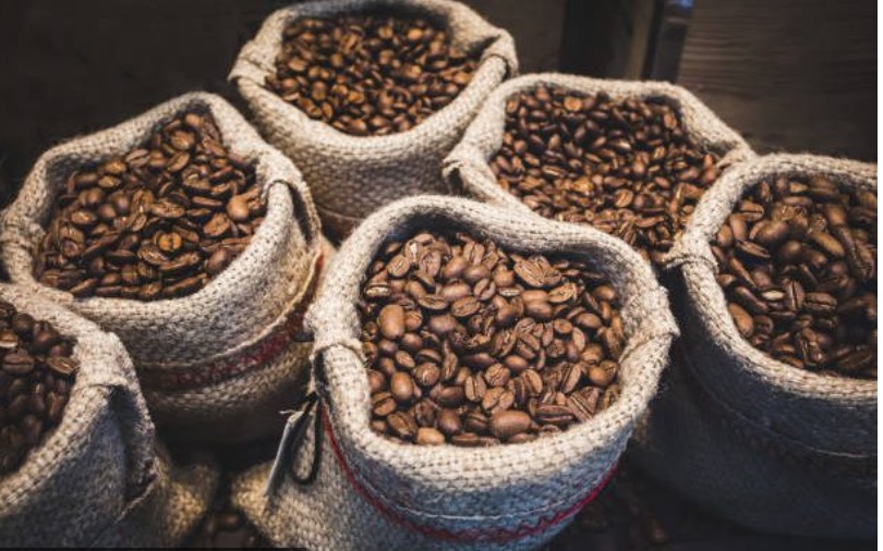 Falling global prices, lower export volumes slash Uganda's coffee earnings to Shs551 billion