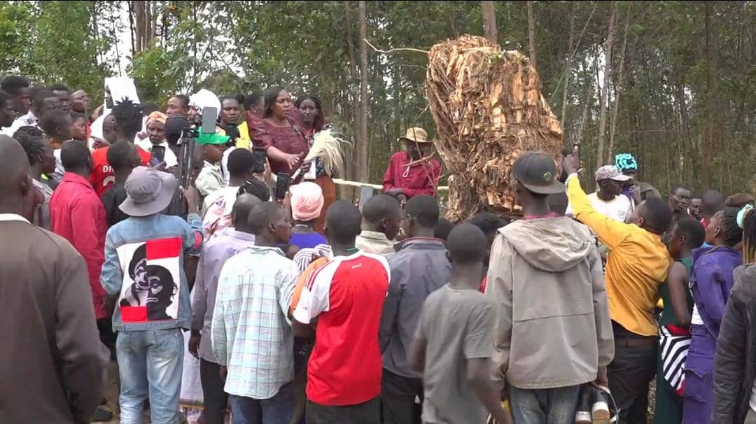 Traditional Healers Close Lwengo Mysterious Tree Site Over Fraud Claims