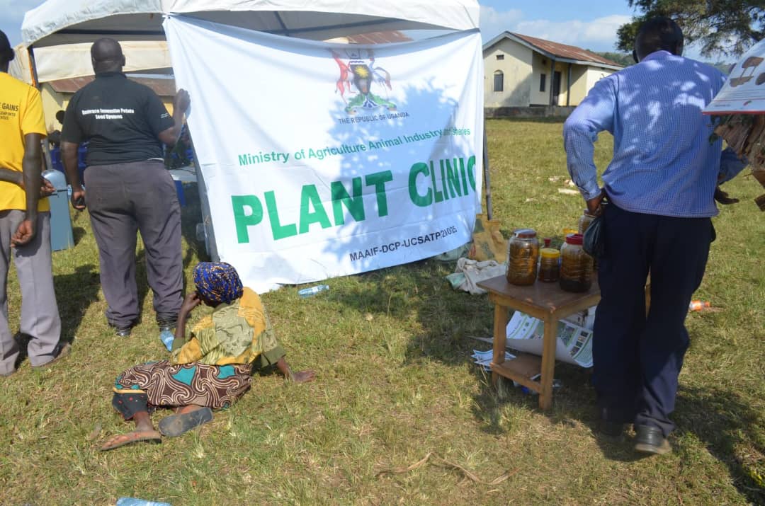Maziba Farmers Urged to Form Groups to Boost Productivity and Market Access