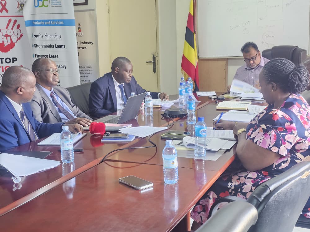 UDC Seeks More Government Capital to Expand Industrial Investments