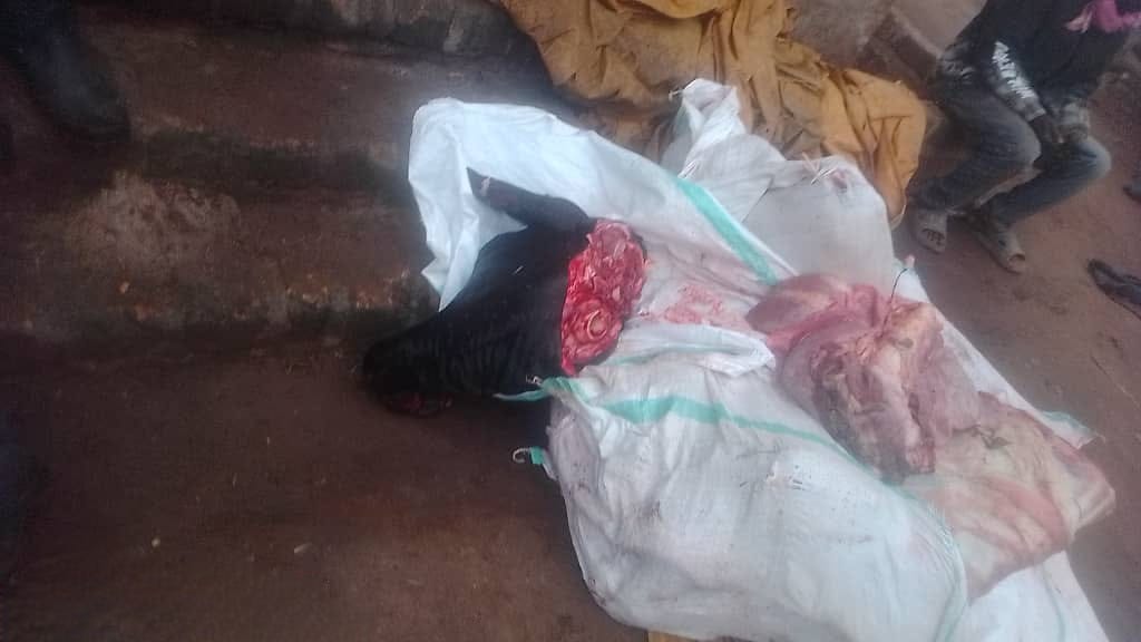 Three Arrested as Police Recover Stolen Cattle, Slaughtered Meat in Kiboga