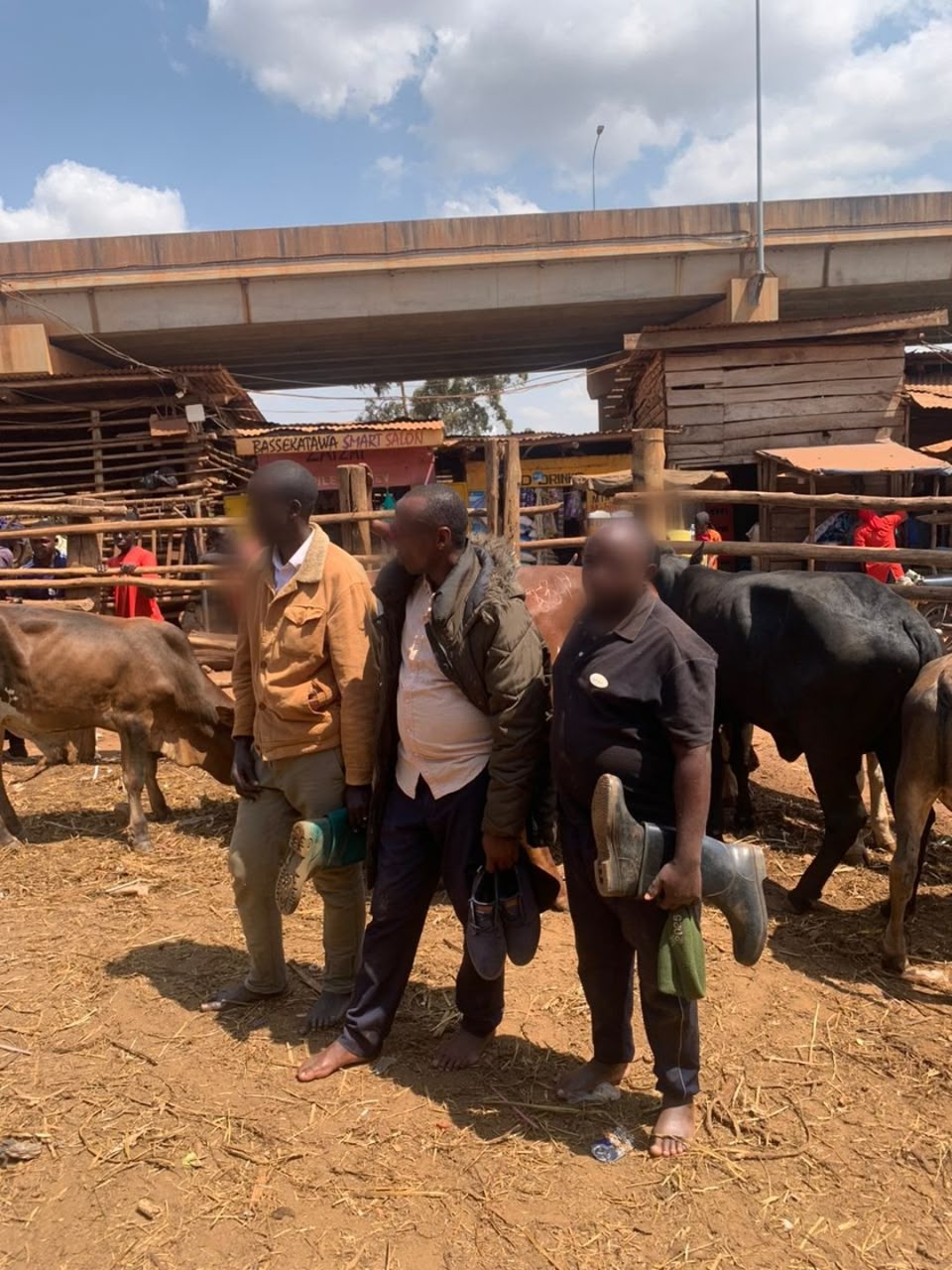 Kampala Police Recover Suspected Stolen Cattle, Arrest Two Suspects