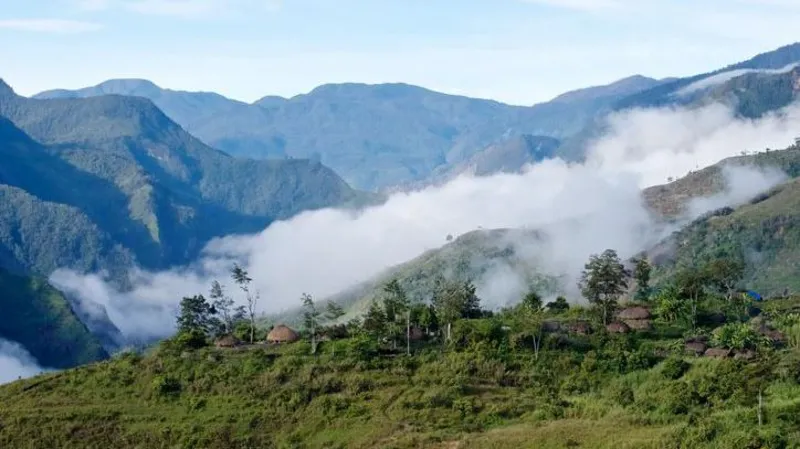 Papuan rebels say they shot dead US pilot and burned his plane