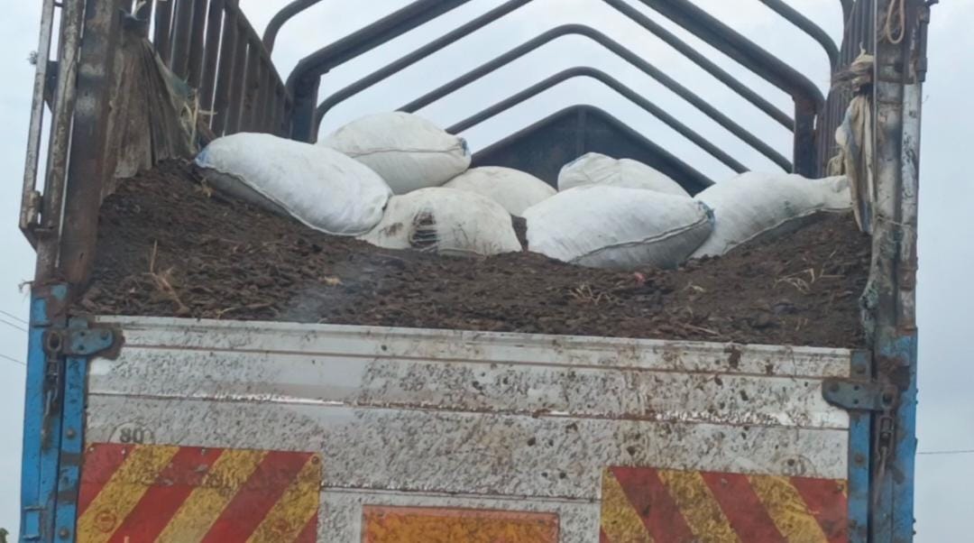 Sembabule Warns Farmers Against Moving Cow Dung Over FMD Spread Fears