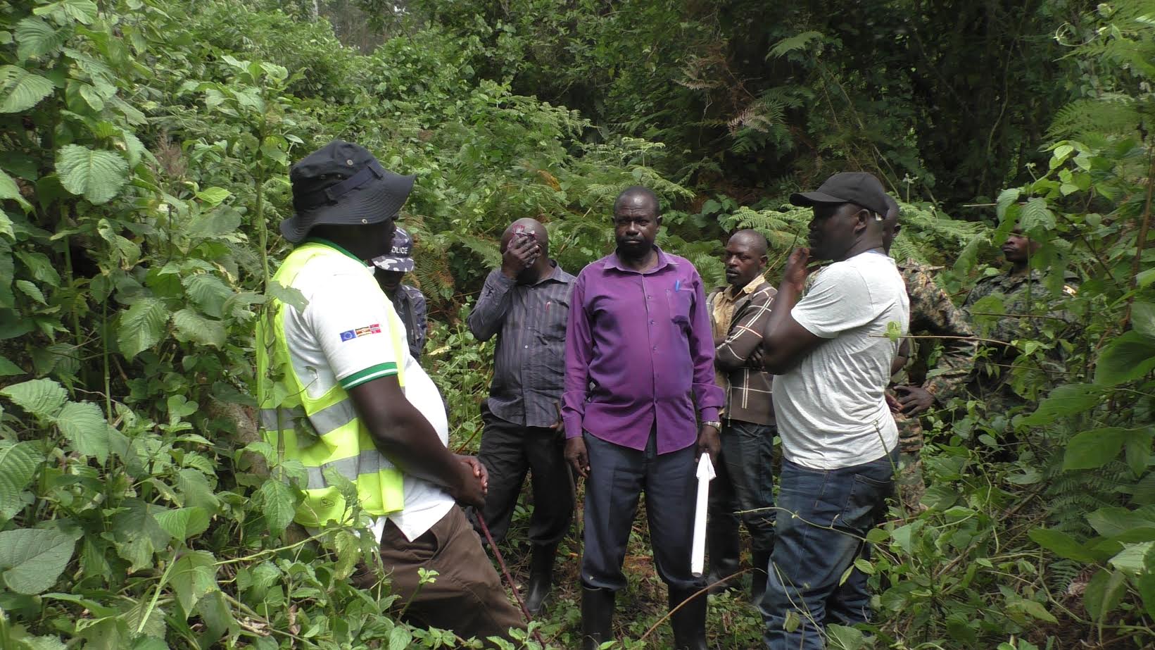 Bugoma forest: Gov’t remains mute over release of survey report as destruction continues