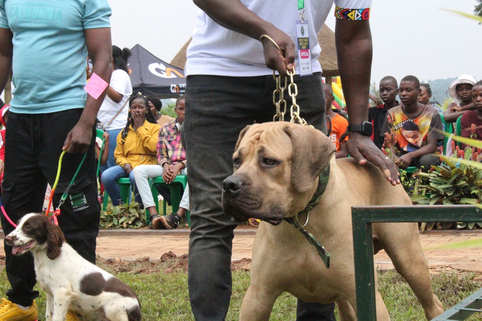 Canine Vaccination: A Priority for Responsible Dog Ownership in Uganda