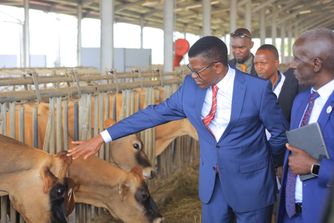 Embrace technology for agricultural progress, Katikkiro urges