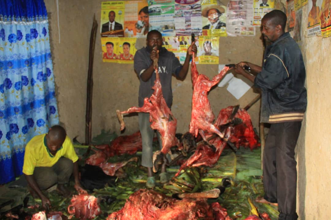 Lightning kills six cows, 12 sheep in Kabale
