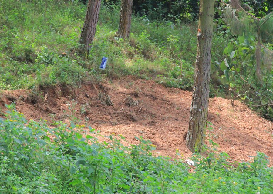 Recurrent unclaimed bodies irk Kabale RDC