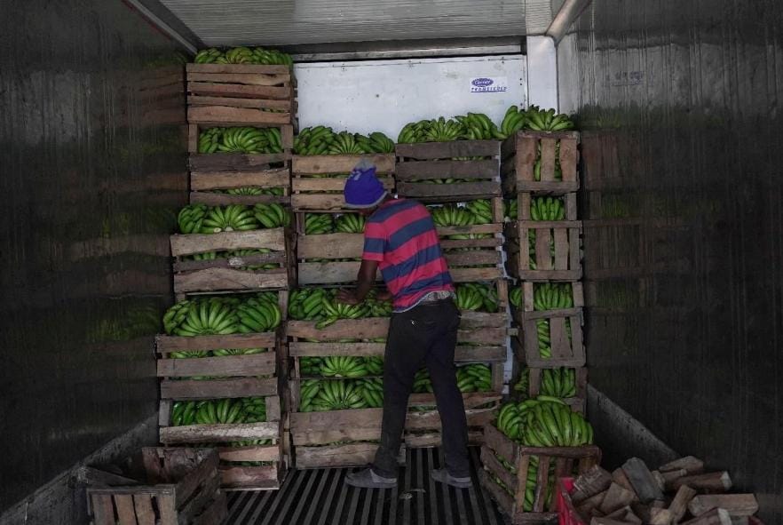 The modern way to use refrigerated containers to ripen Bananas