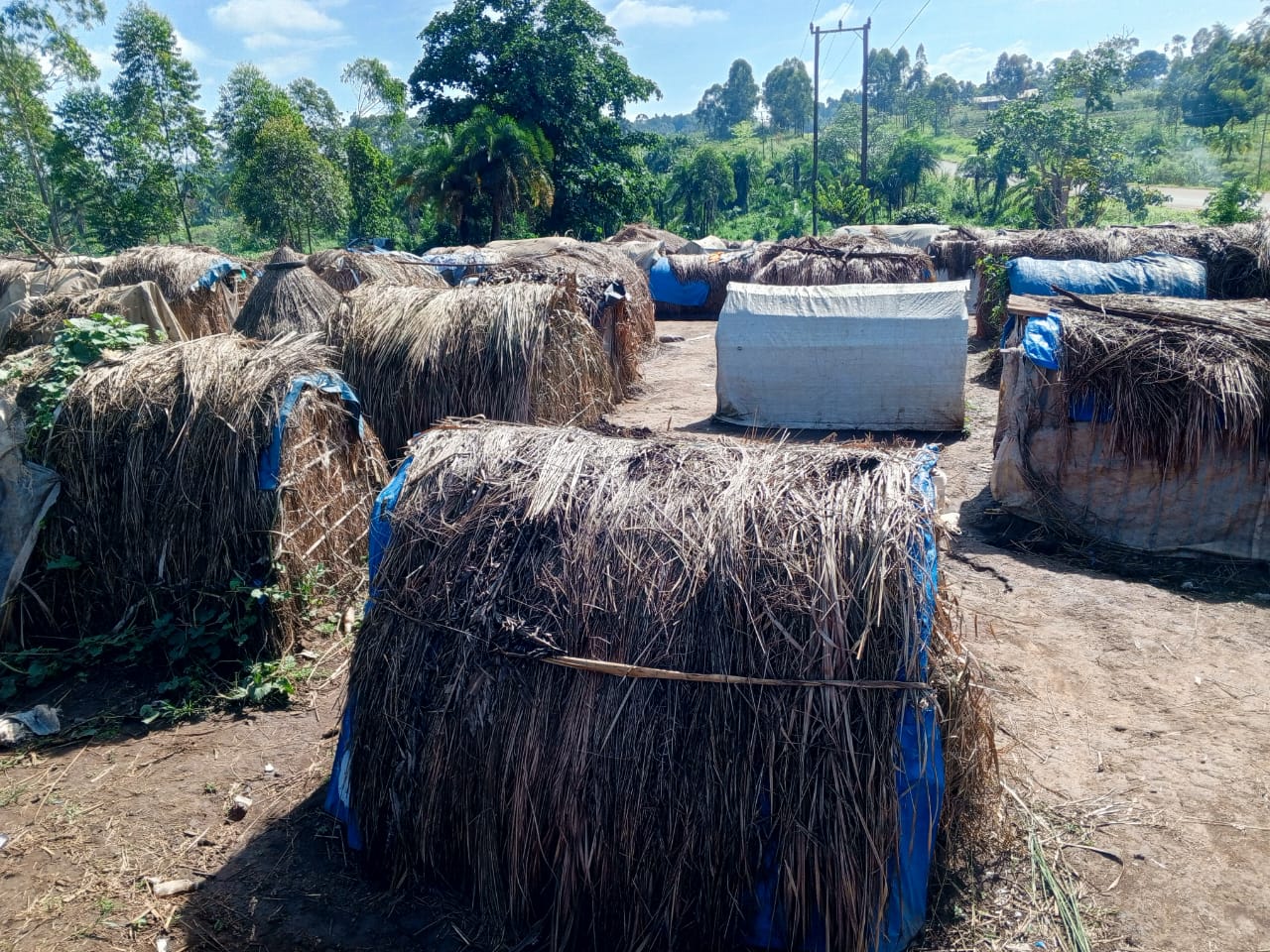 Govt asked to resettle over 2000 Bukinda evictees in Kikuube