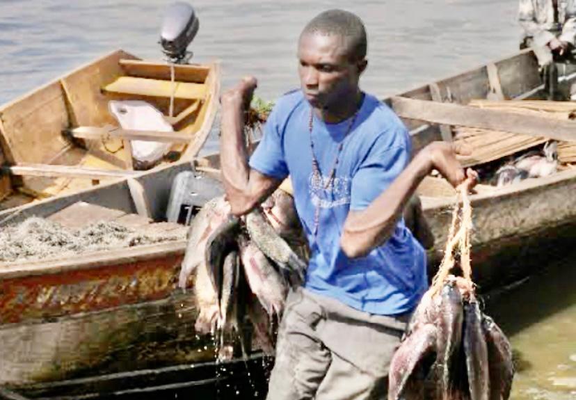 The rich are interfering in fishing business, says minister