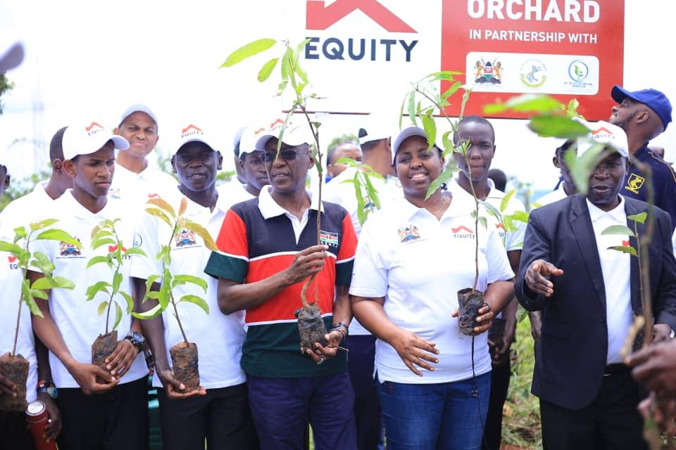 Equity Bank, Mwirians to plant 43,000 indigenous trees