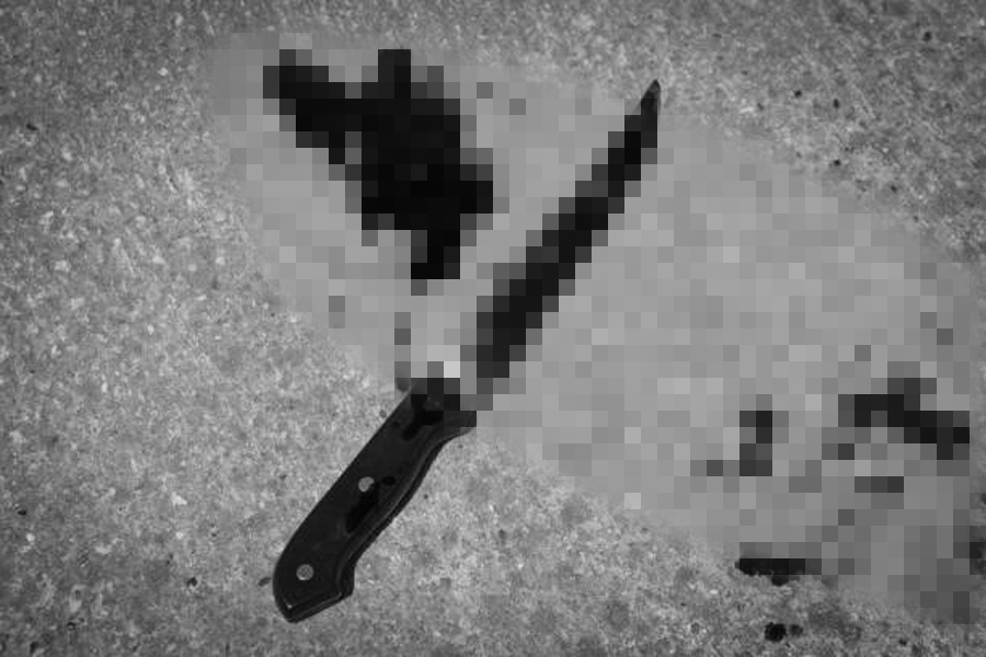 Sex worker stabs and kills client