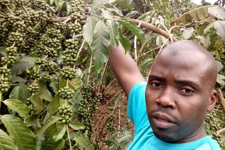 Bukomansimbi residents sleep outdoors to safeguard 'lucrative' coffee