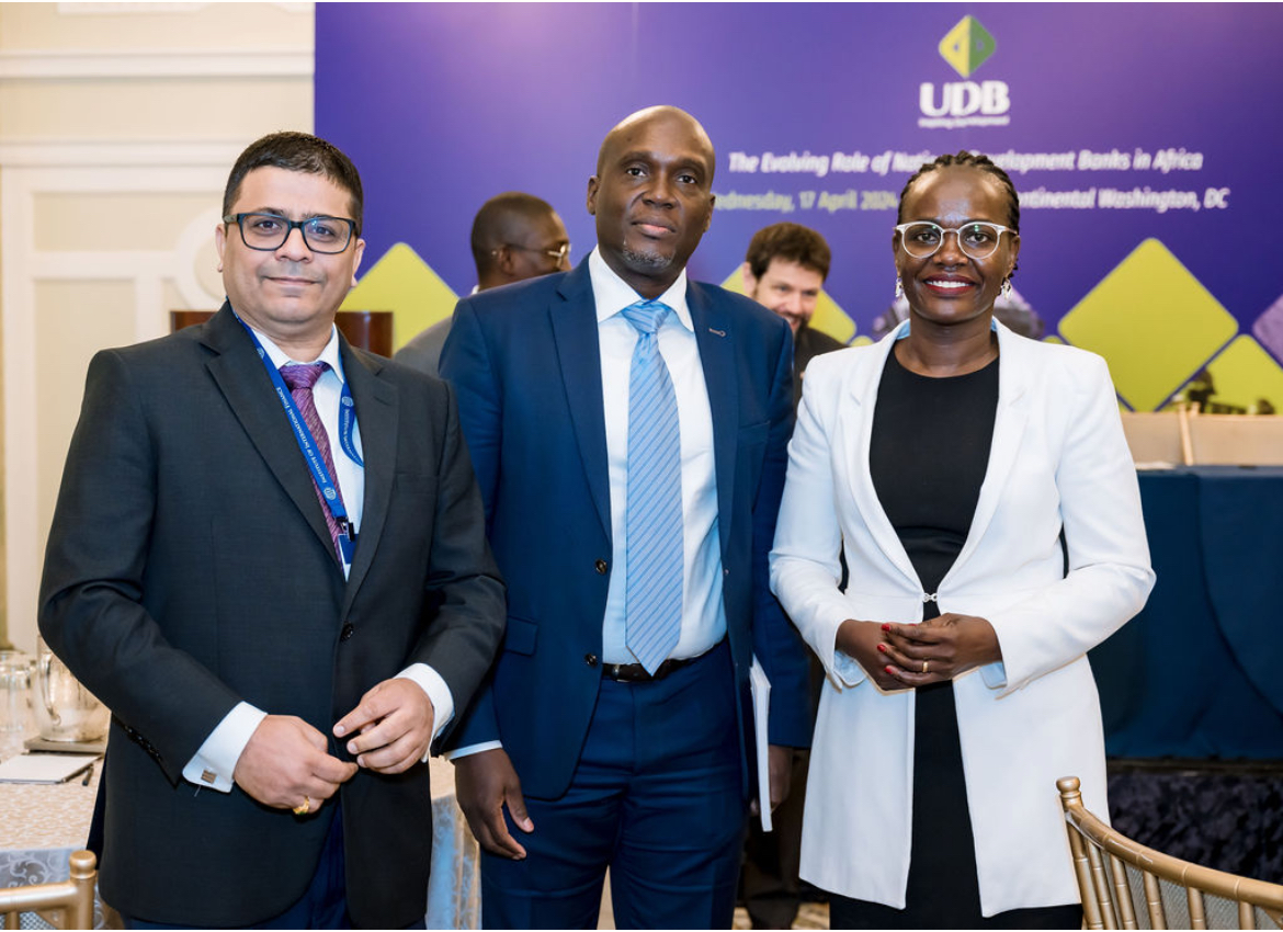 UDB champions cross-border collaboration for stronger sustainable dev't impact