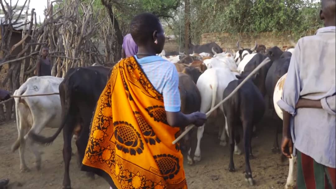 The enduring legacy of pastoralism in Karamoja; Why govt support is crucial
