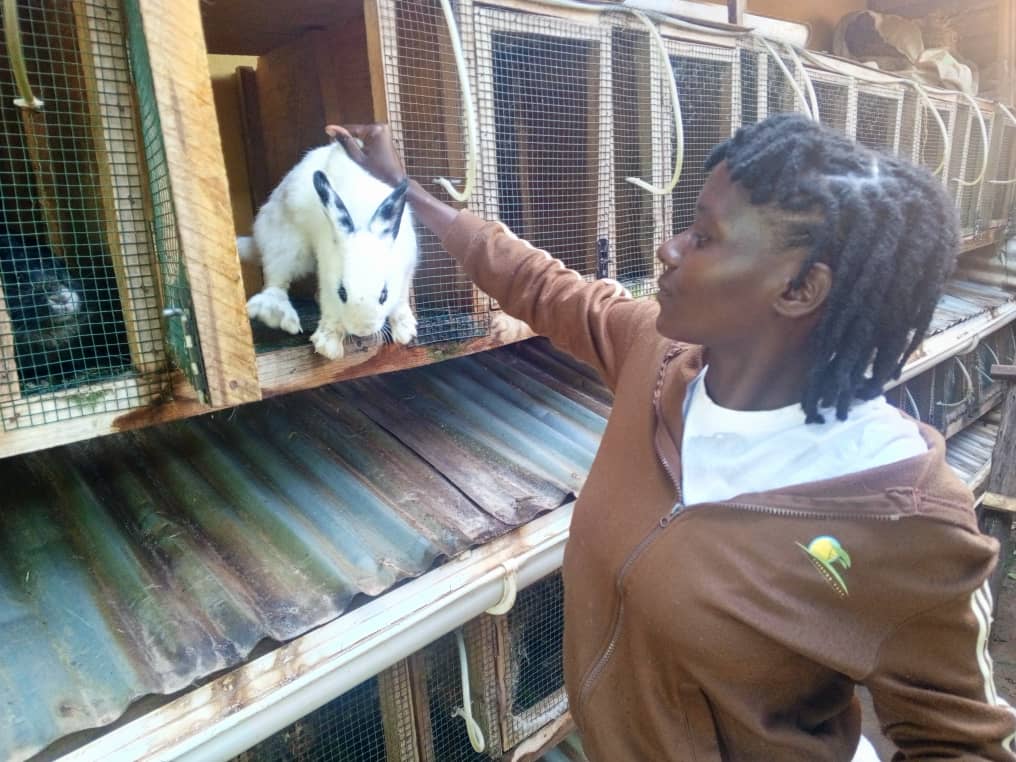 Rabbits give ledgers to Makerere accounts graduate