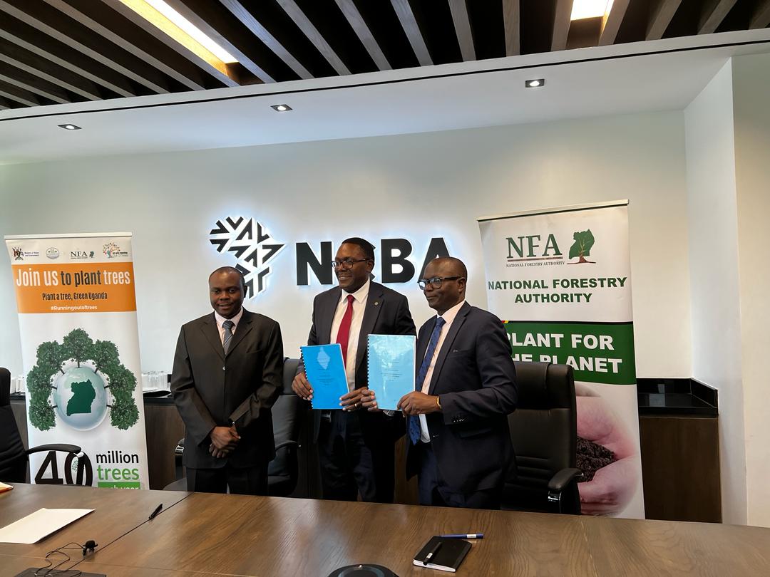 NCBA Bank , NFA partner to plant 20,000 trees