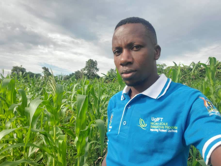 Bukomansimbi farmers take pride in maize crop