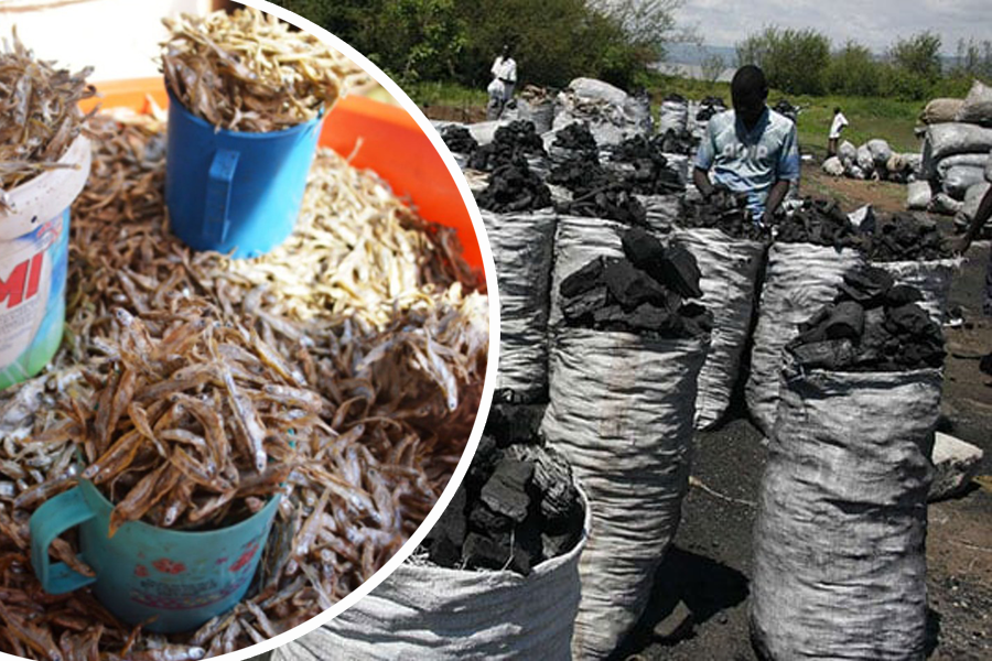 Mukene, charcoal topped April inflation drivers - UBOS