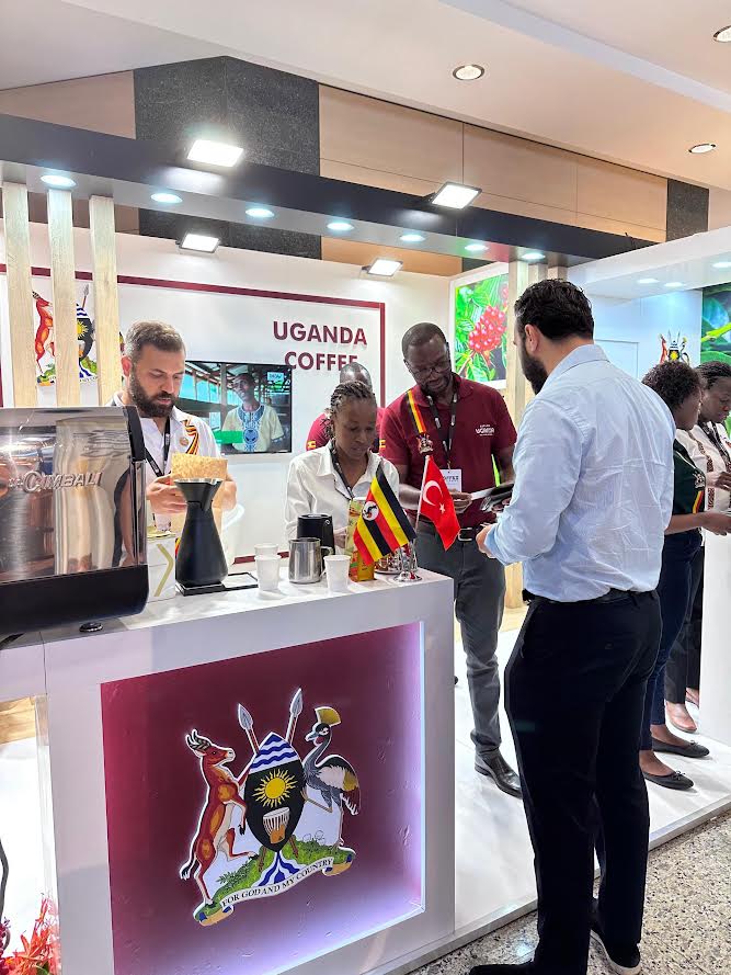 Uganda's coffee exports to  Turkey go up  by 2,000% in 5 years