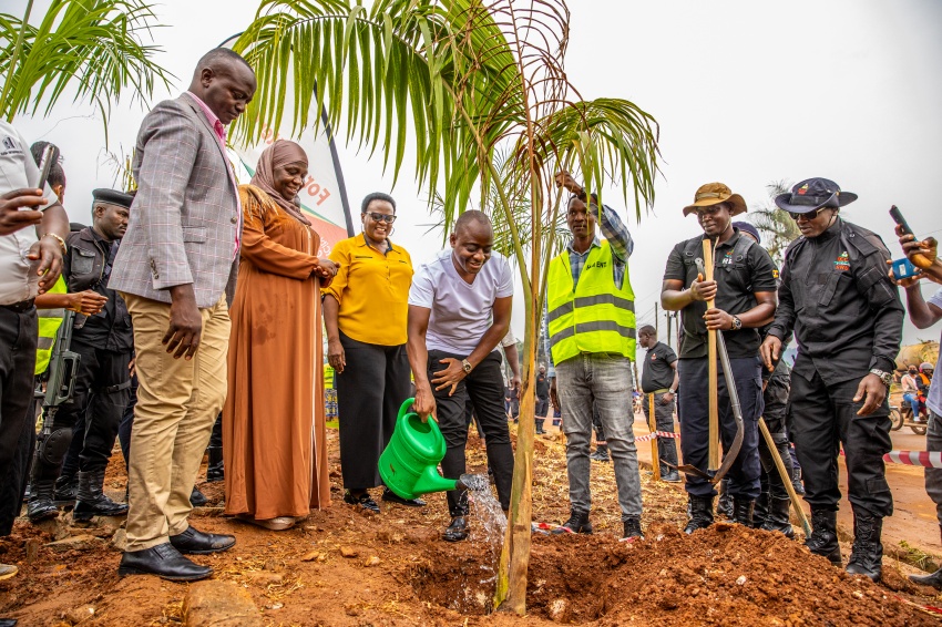 Hamis Kiggundu fumes as KCCA destroys trees he donated to them