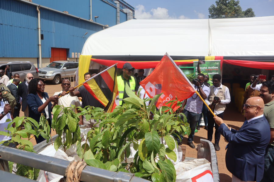 Roofings champions tree planting initiative at Kampala Industrial Park
