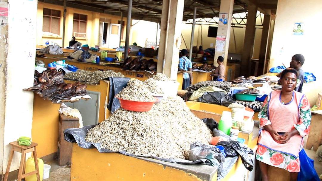 Fish traders in Nyendo decry harassment