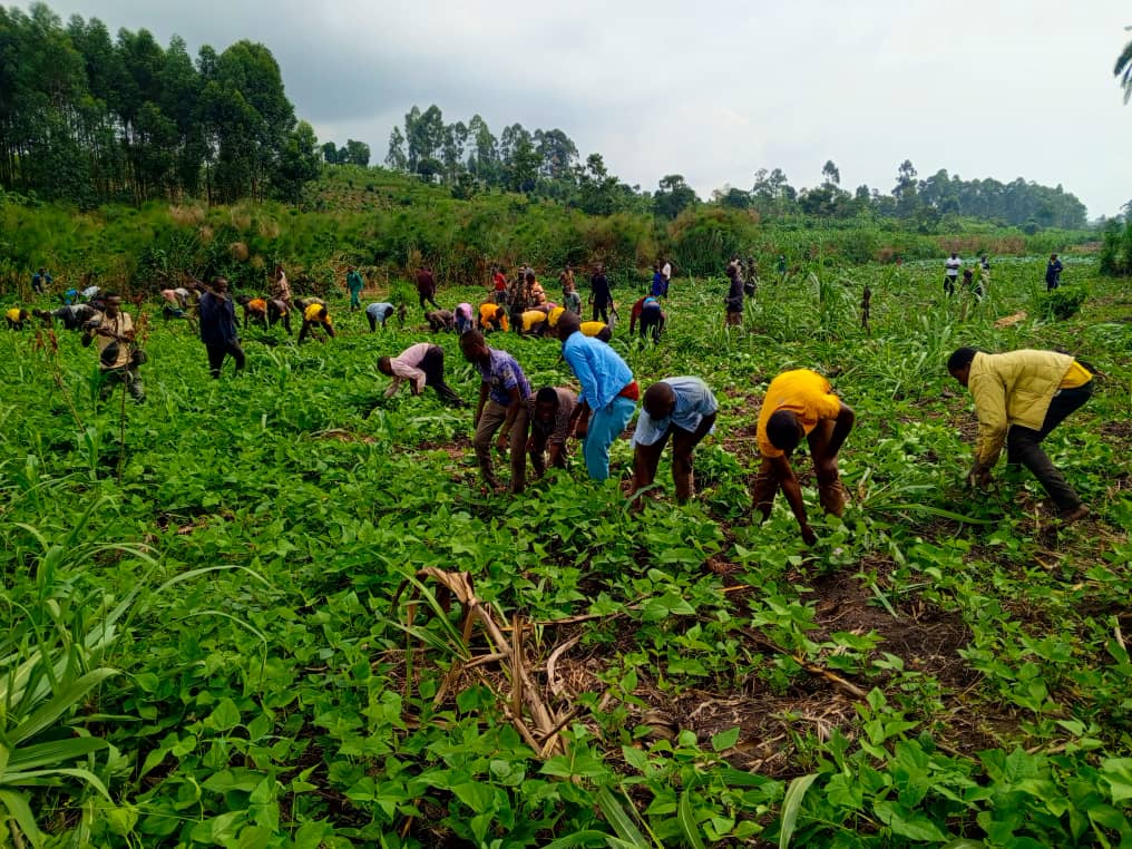 Land Squatting and Encroachment, Uganda's Growing Crisis