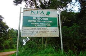 CSOs withdraw Bugoma forest court case