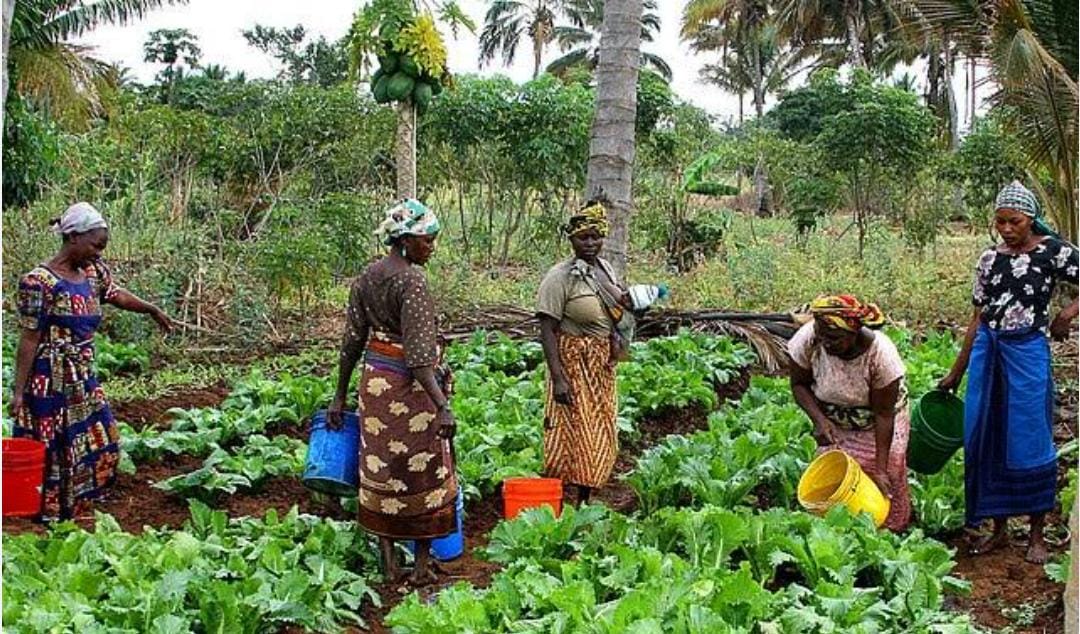 Rural Women: The Unsung Pillars of Uganda’s Economy